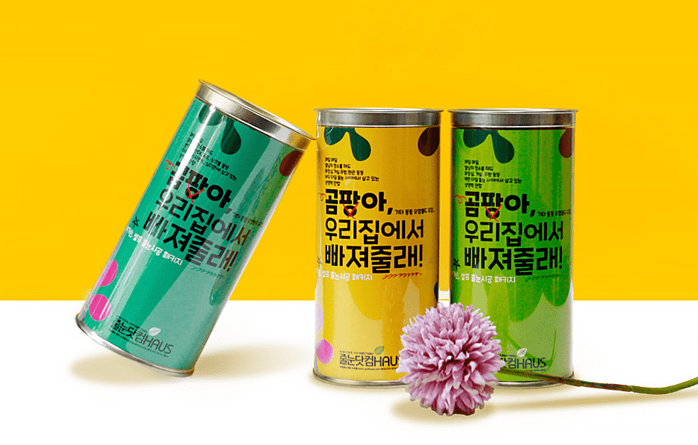 곰팡아 우리집에서 빠져줄래
