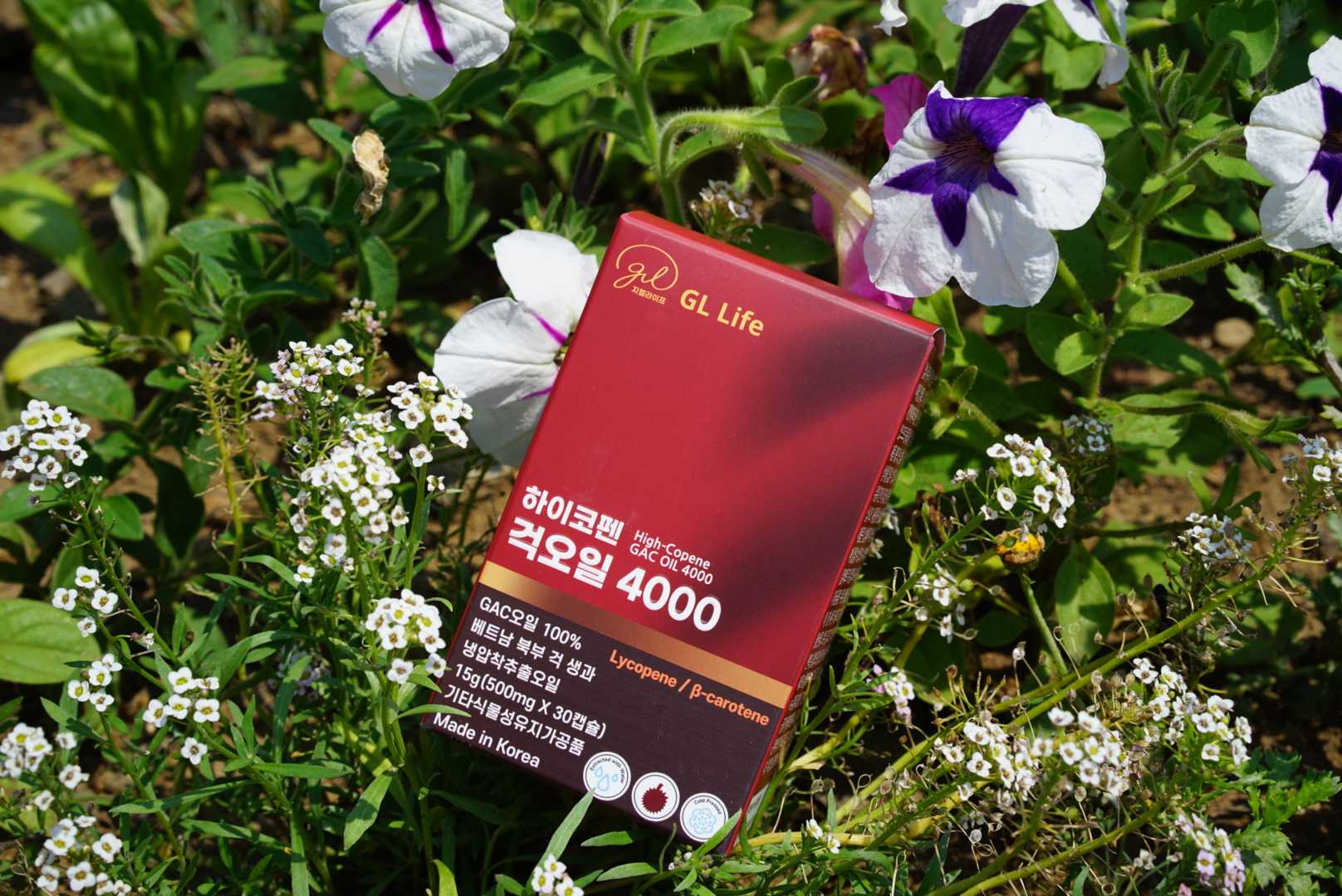 하이코펜 걱오일 4000