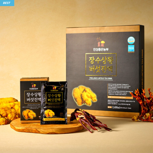상황버섯진